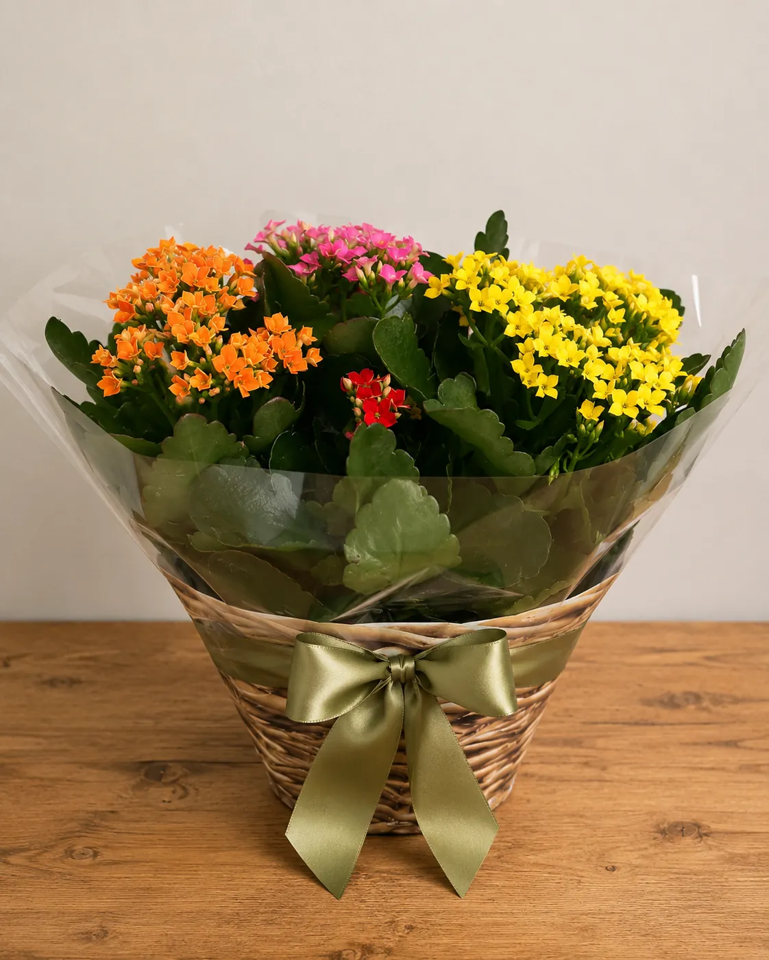 Colourful potted kalanchoe plant gift in a woven basket