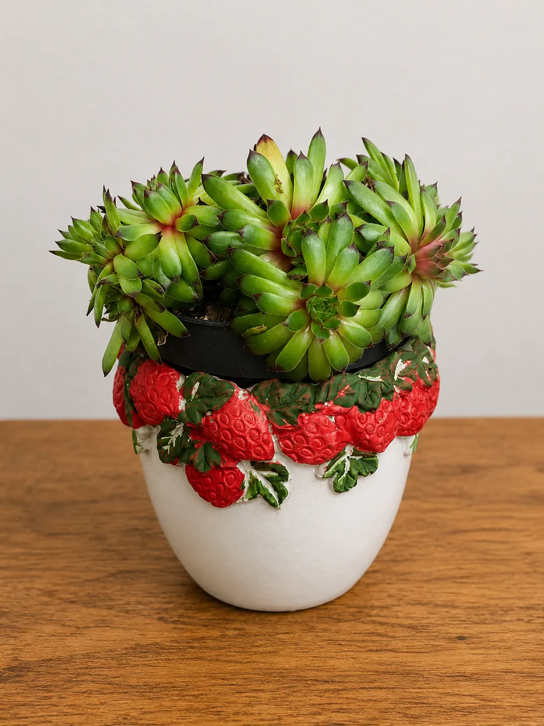 Succulent plant in a strawberry-decorated ceramic pot
